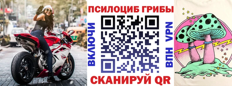 Купить закладки  Лобня  Галлюциногенные грибы Cubensis 