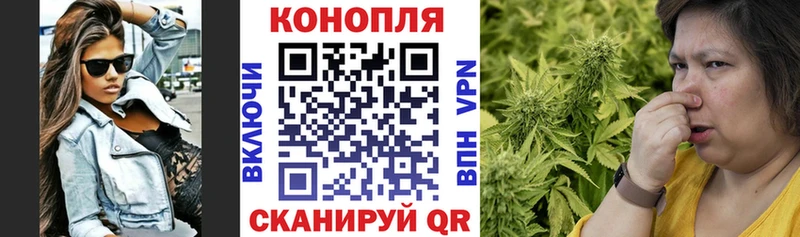 Канабис сатива  Купить где  Лобня 